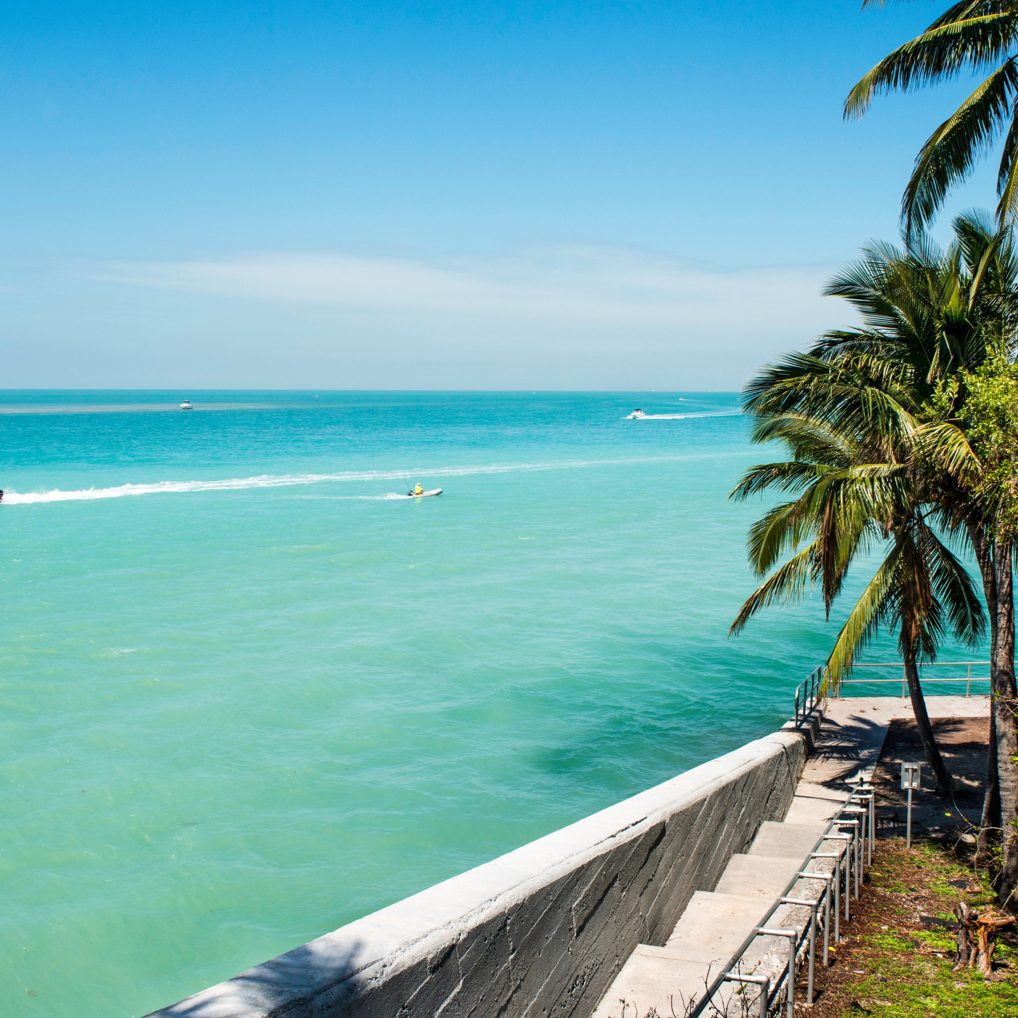 Tropical beach with clear blue water, palm trees, and a path leading to the sea.